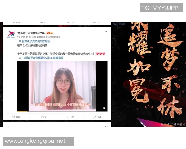 esports数据王者荣耀战术IG防反体系解析与实战应用技巧分享