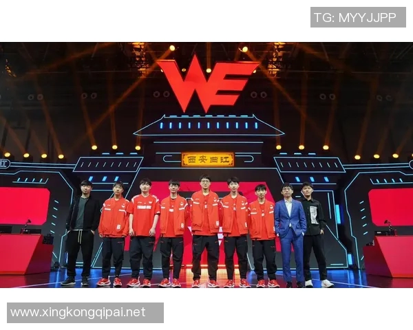 esports最新数据职业联赛中WE战队比赛经验的深度分析与表现评估